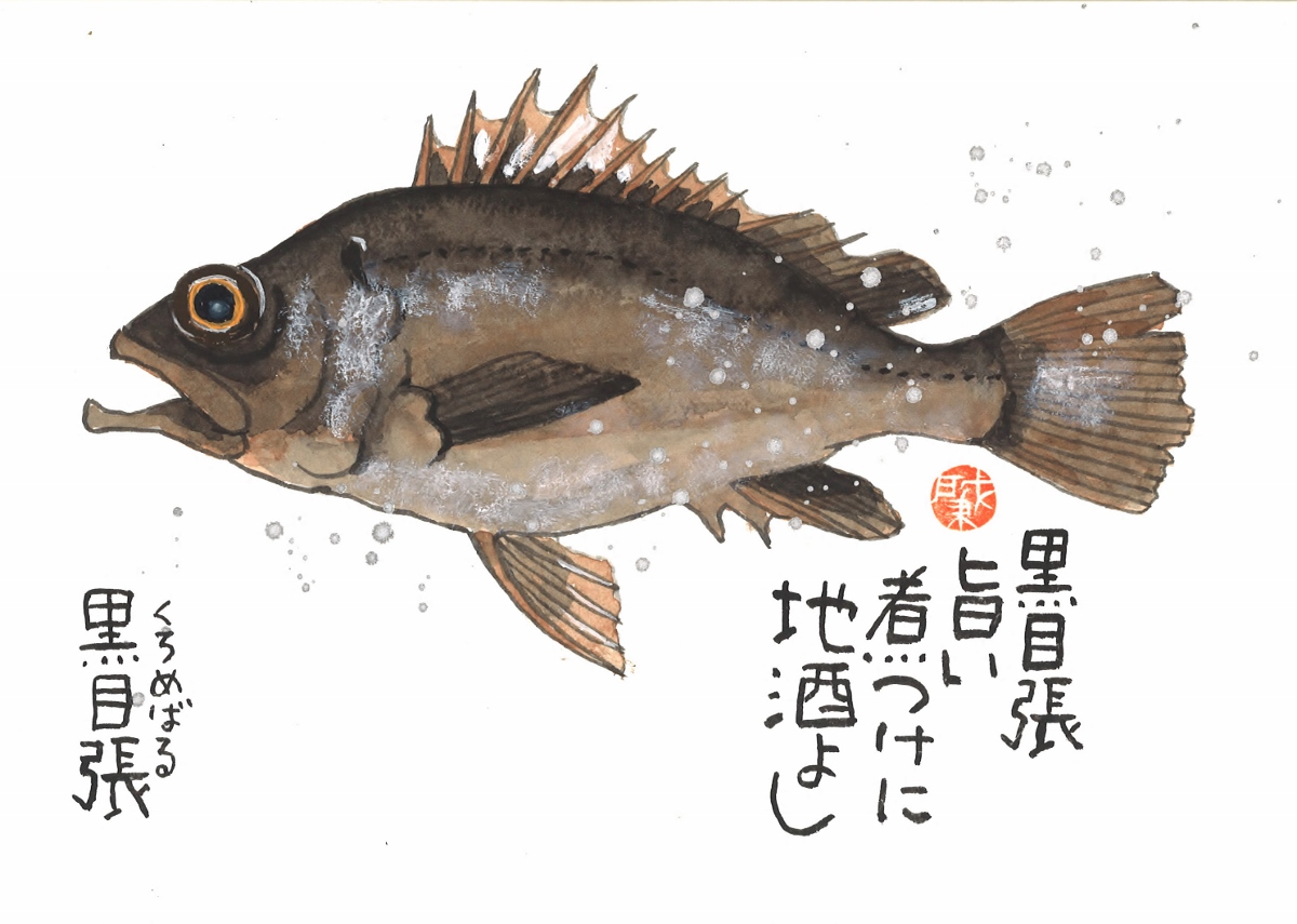 魚 黒眼張 くろめばる 手描き作品 額付 絵画 水墨画 和味文化研究所 岡本肇